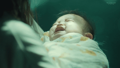 172946b5ojzdd8odv050vy.gif