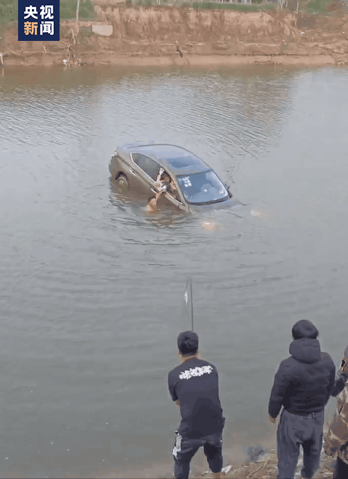 165634yljb4qutjqiwg5q5.gif