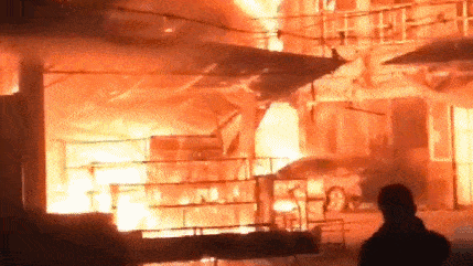 110925z8l44bvi1ev6rvmq.gif
