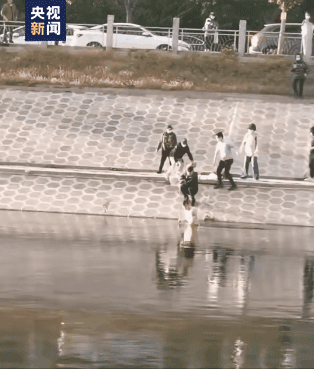 141721hcnos1c0xszcpfso.gif