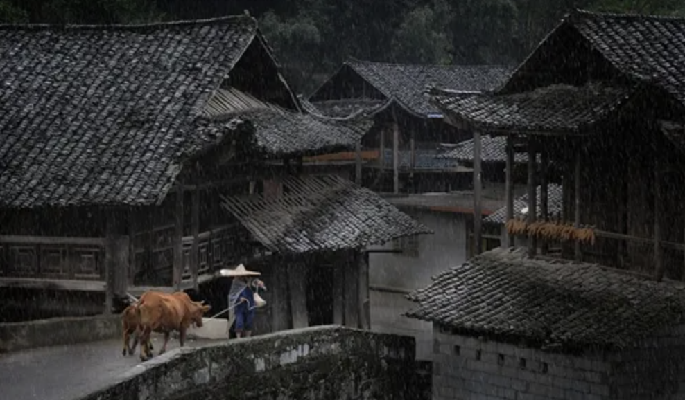 截屏2022-07-23 上午9.45.00.png