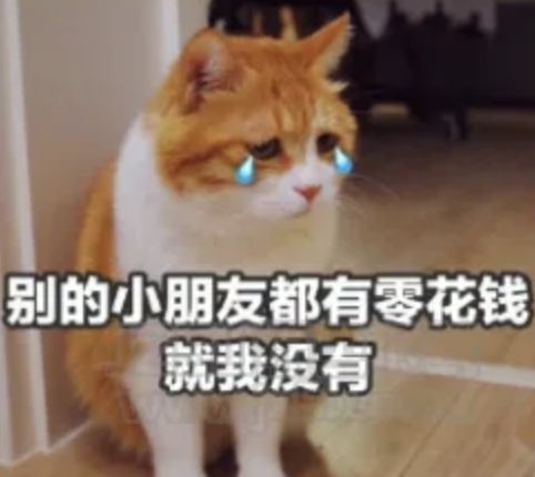 截屏2022-08-02 下午2.14.52.png