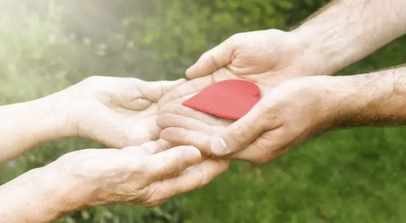 截屏2022-08-16 下午2.51.43.png