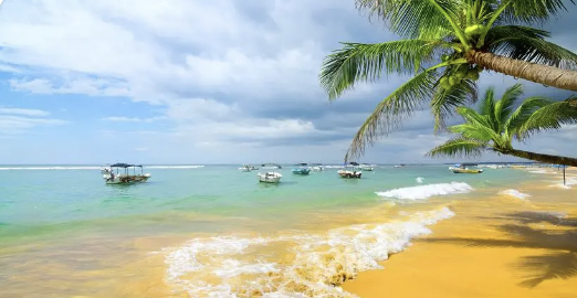 截屏2022-08-29 上午8.55.16.png