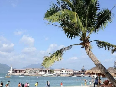 截屏2022-09-29 下午3.32.57.png