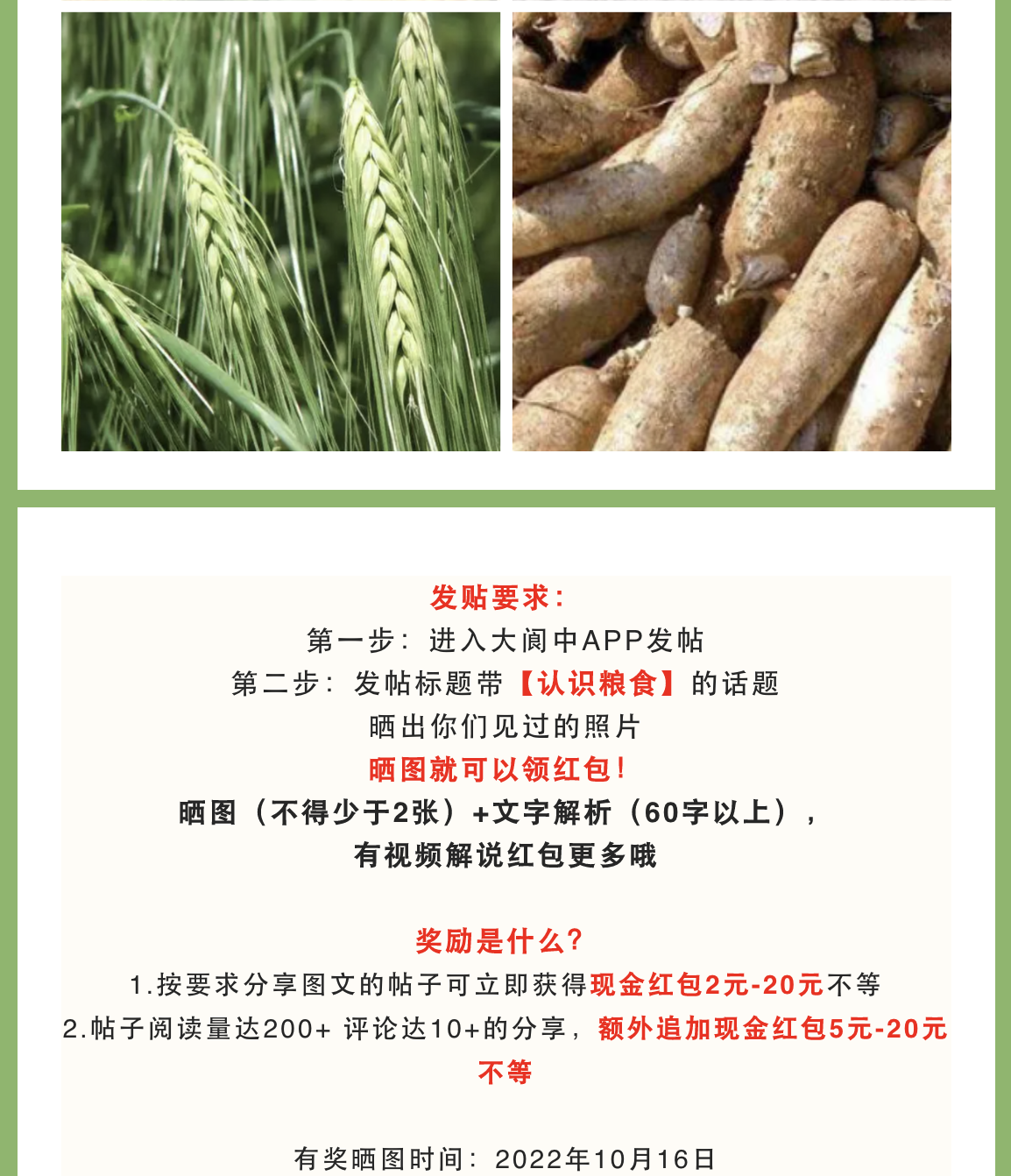 截屏2022-10-08 下午5.02.06.png