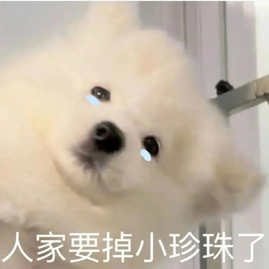 153852nzxilucufzmxccc3.jpeg