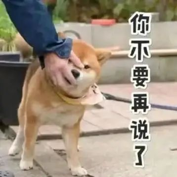 141647e8k86d3yssh55dz5.jpeg