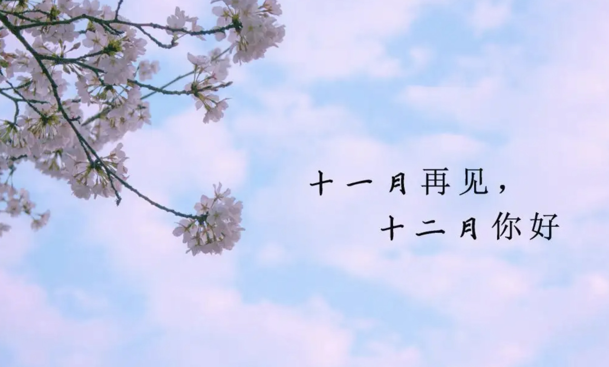 截屏2022-12-01 上午10.30.30.jpeg