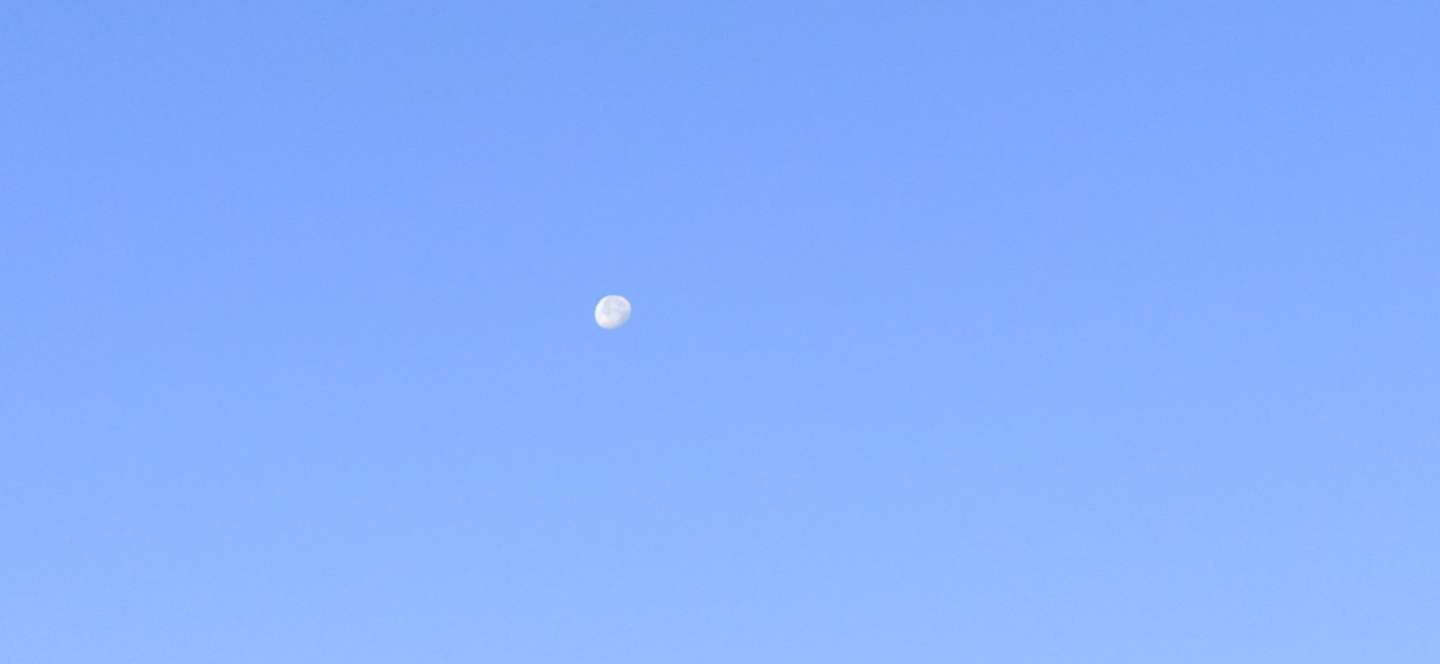 20221214092445front2_0_1041_Fi3iLLDN3l9skAaKm_IUmGe682CL.jpg