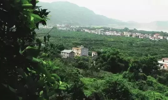 140428o6hoyuvut796et71.png