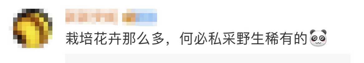 104450pcltc3cwwjokbwda.png