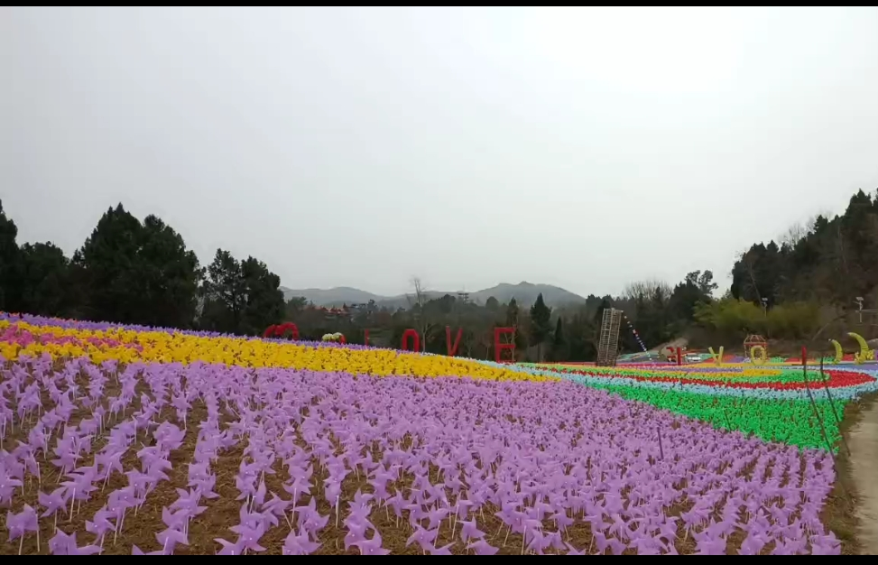 173651w2jp13z9f51v4fcv.png