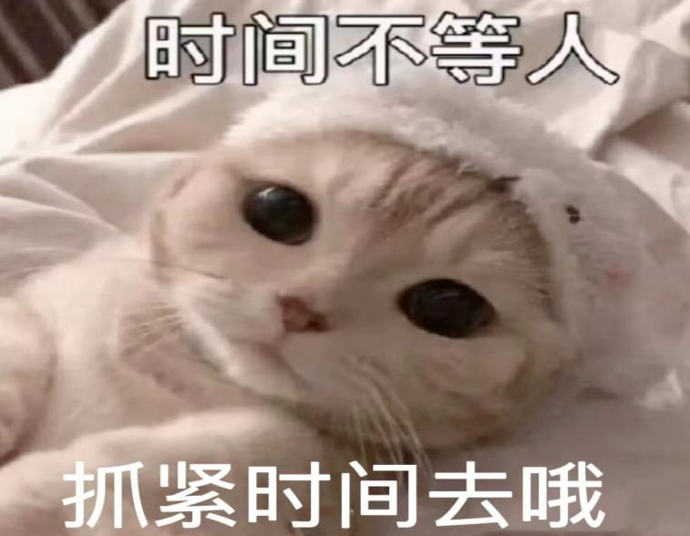 141344or29ea82lurzuvl9.png