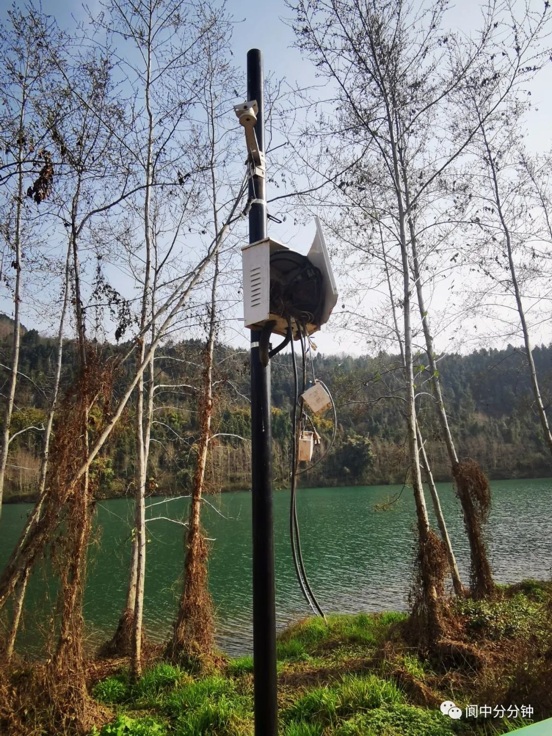 090107lq3vvfz55jzvyqtm.jpeg