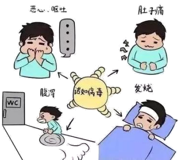 101919d15c0252t75v6v55.png