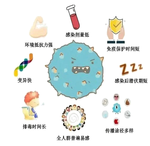 101919ji423dnx33yzcyhr.png