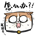 084331c3ggjo3rttcef536.png