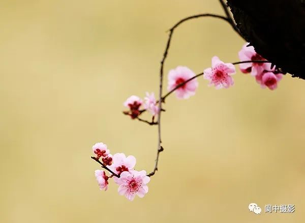 142702rwqd5ksfsfs1yzui.jpeg