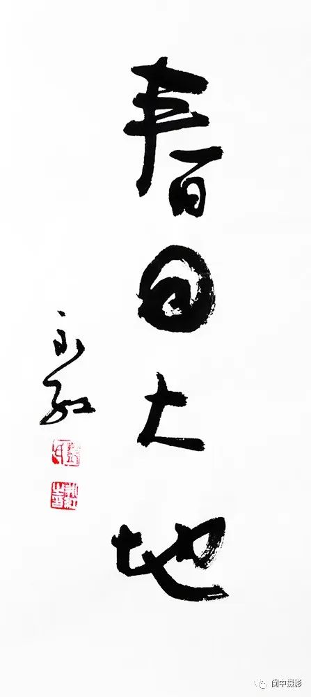 142702wo1bbfb6bef5951t.jpeg