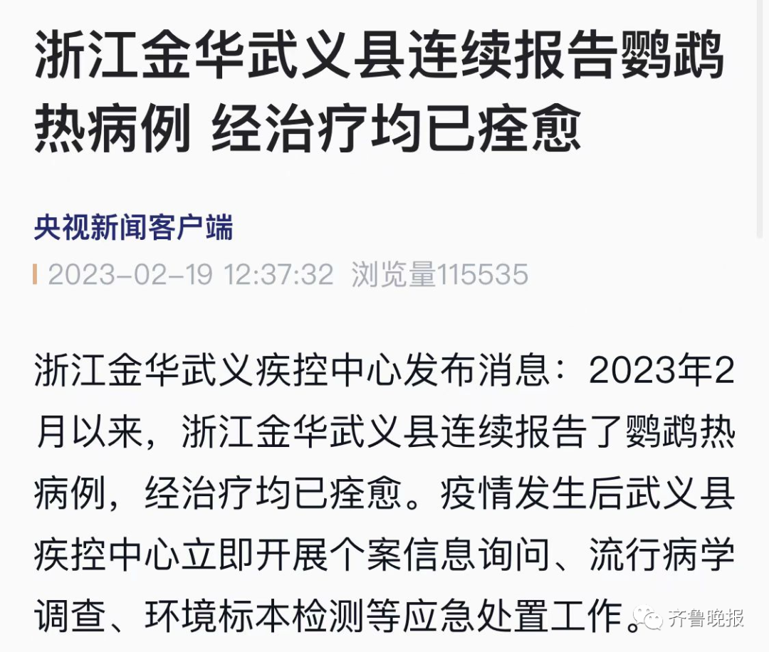 171730zh79u4y9vbf9znty.png