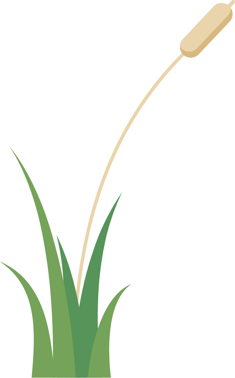 142815agpioi9z71i7y89r.png