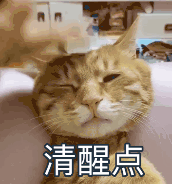 162919wppwcc33pp3tllyw.gif