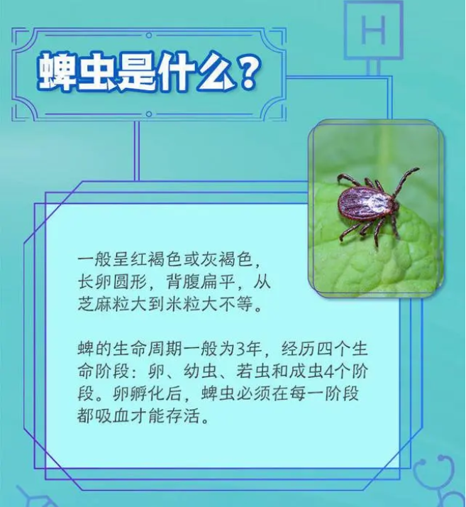 090436m7ksmxns6363knxm.png