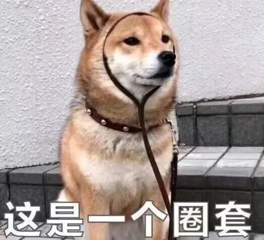 141129sstzd25tz9k2eekd.png