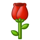 175458gd22qd8jxi8kgndd.png
