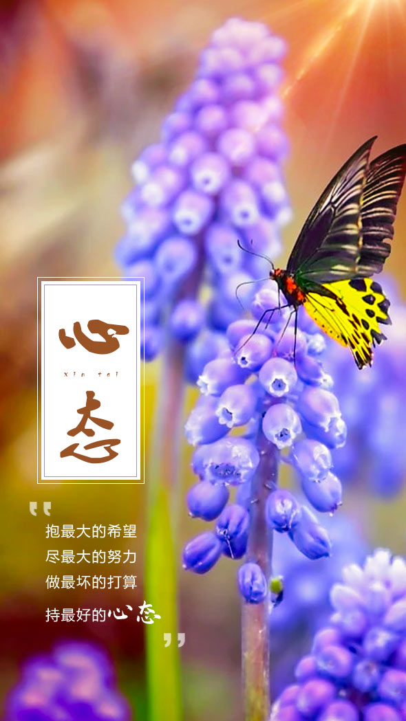 20230523072143front2_0_1041_Fq7NLPwwjCt8ZHb4P3CsH4ugmOYY.png