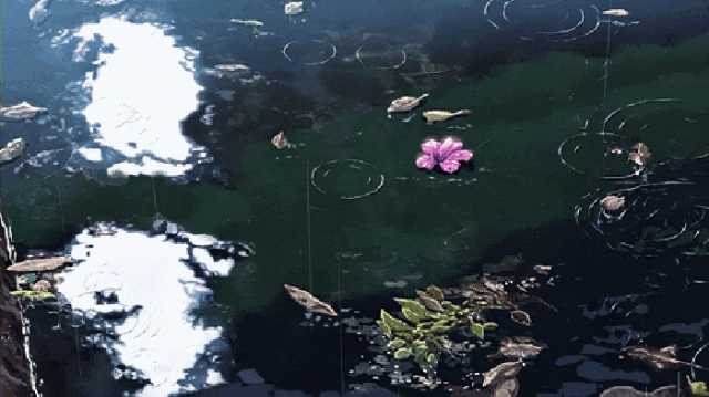 173034wohfl0bp51oohoq0.gif