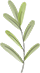 100329nr095e9bd0mrkodb.png