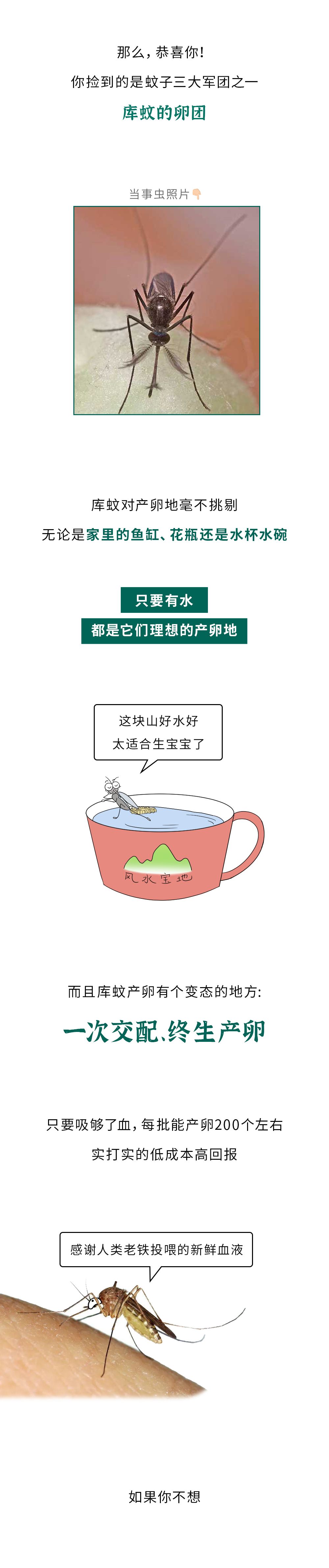 172826ge8glz82grlllggh.png