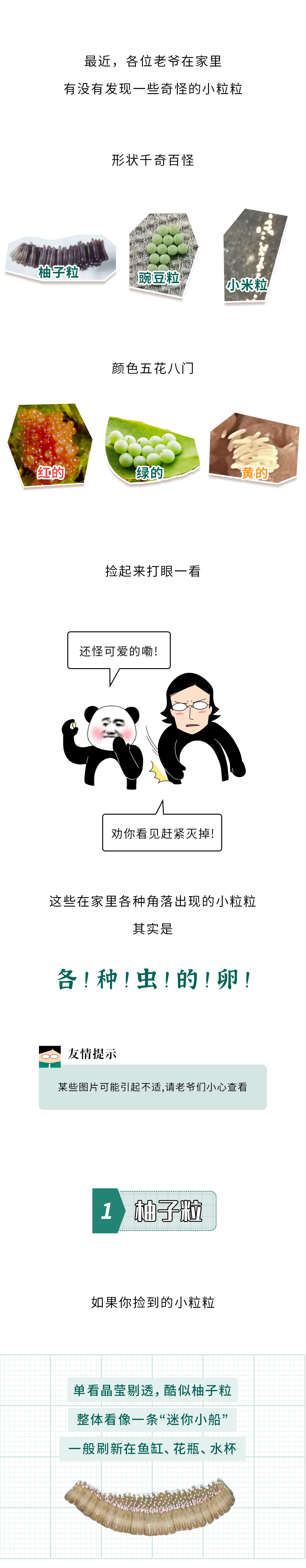 172826tffmvvff01vzfmld.png