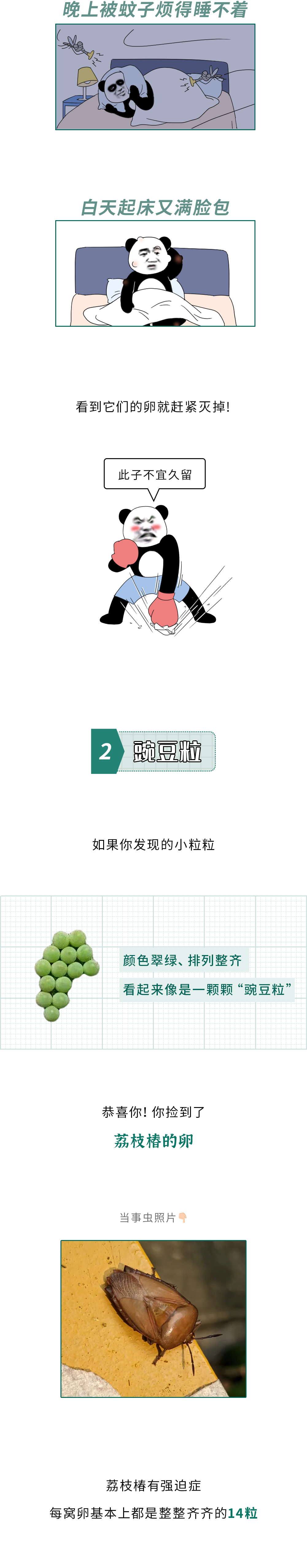 172826txcs0njw43ybc0ww.png