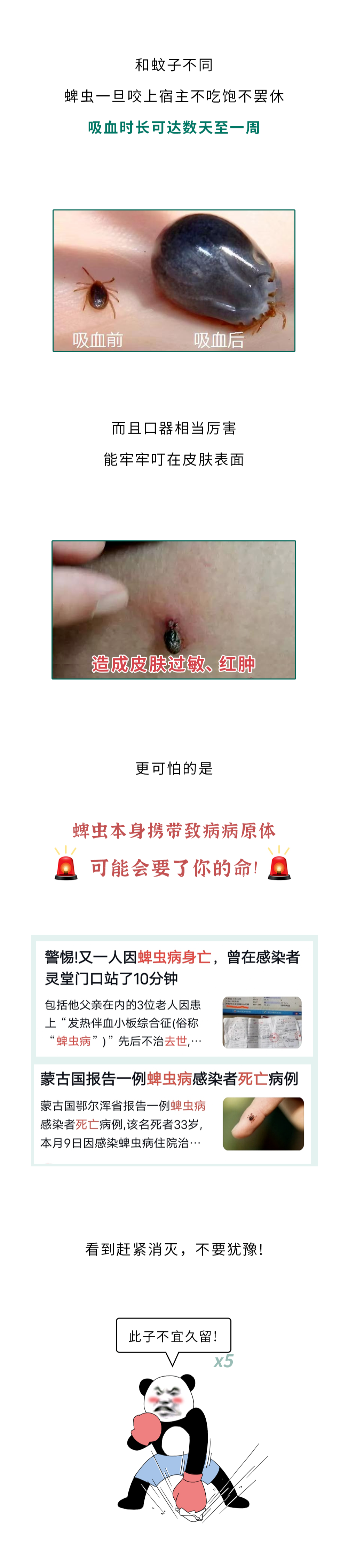 172827hysk5fg77h5sy5vh.png