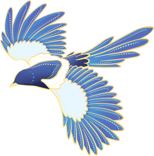 092900kzldx26j2jbxtj32.png