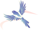 092901cizp1v8dt1syasvt.png