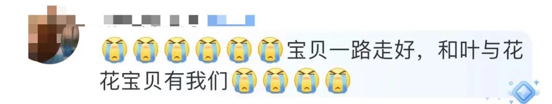 103652i6nrgmggts4cqhtg.jpeg