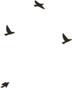 105236a5n6jl3s5lm33937.png