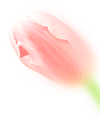 103604rqd7y3h39iy2y927.png