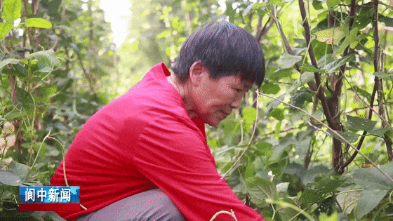 114831j38d06d4riz8rid8.gif