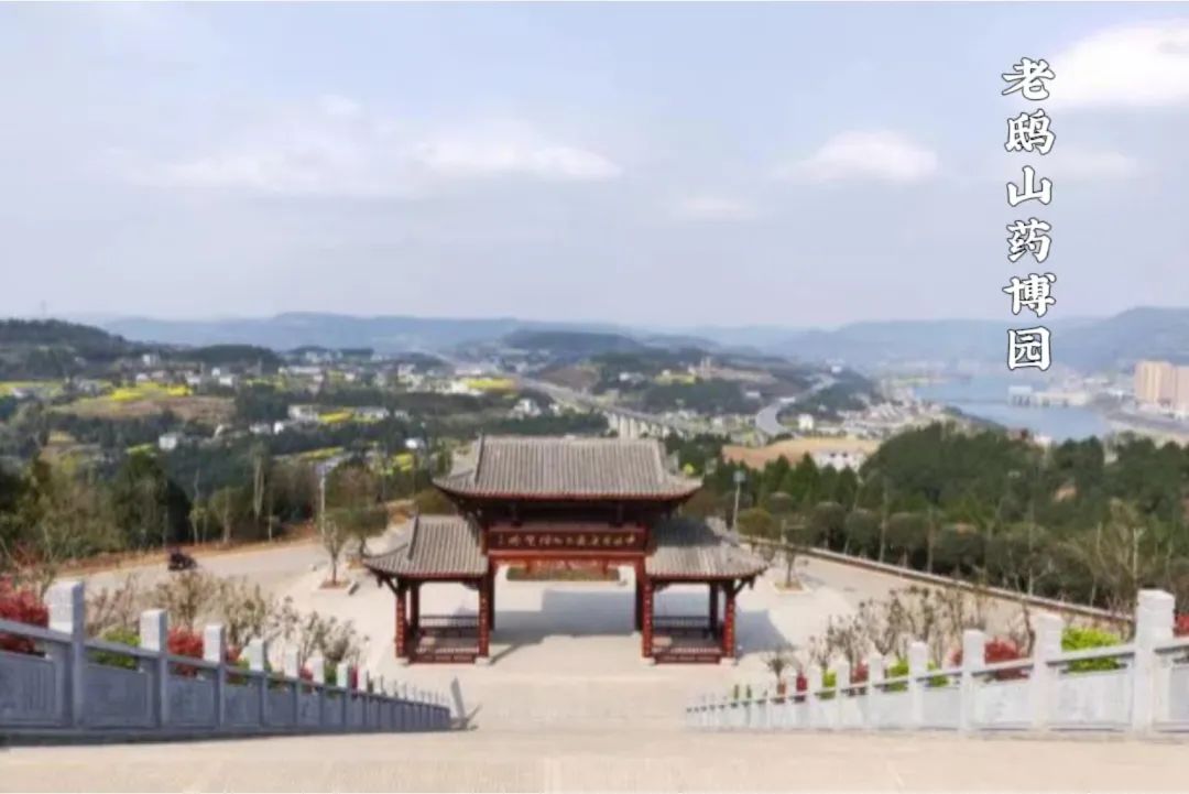 094559ob670jehae17aonq.jpeg
