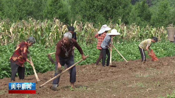 095112iu4yt08yetzz33mp.gif