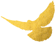 102636a11c32w2azouww18.png