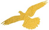 102636t5gmp7lju4ijkjok.png