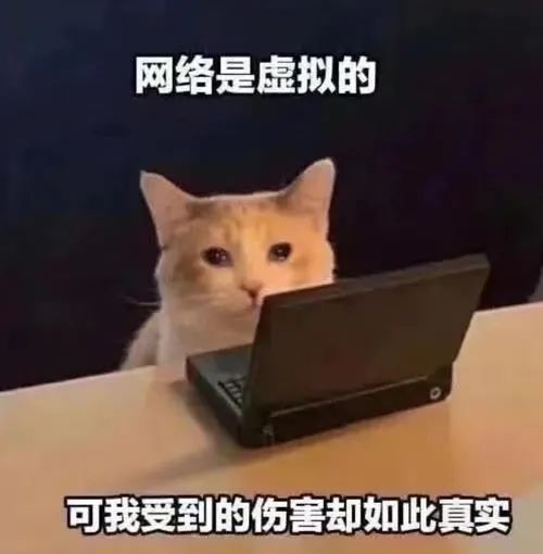 111852lgtsgwsfp1stydns.jpeg