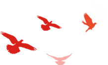 171621y8dwbmweu1lu6wxc.png
