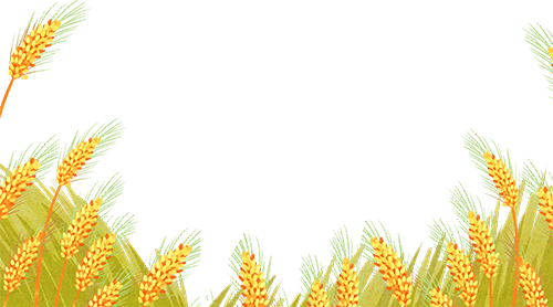101045mr3286c08f0rjrq2.png